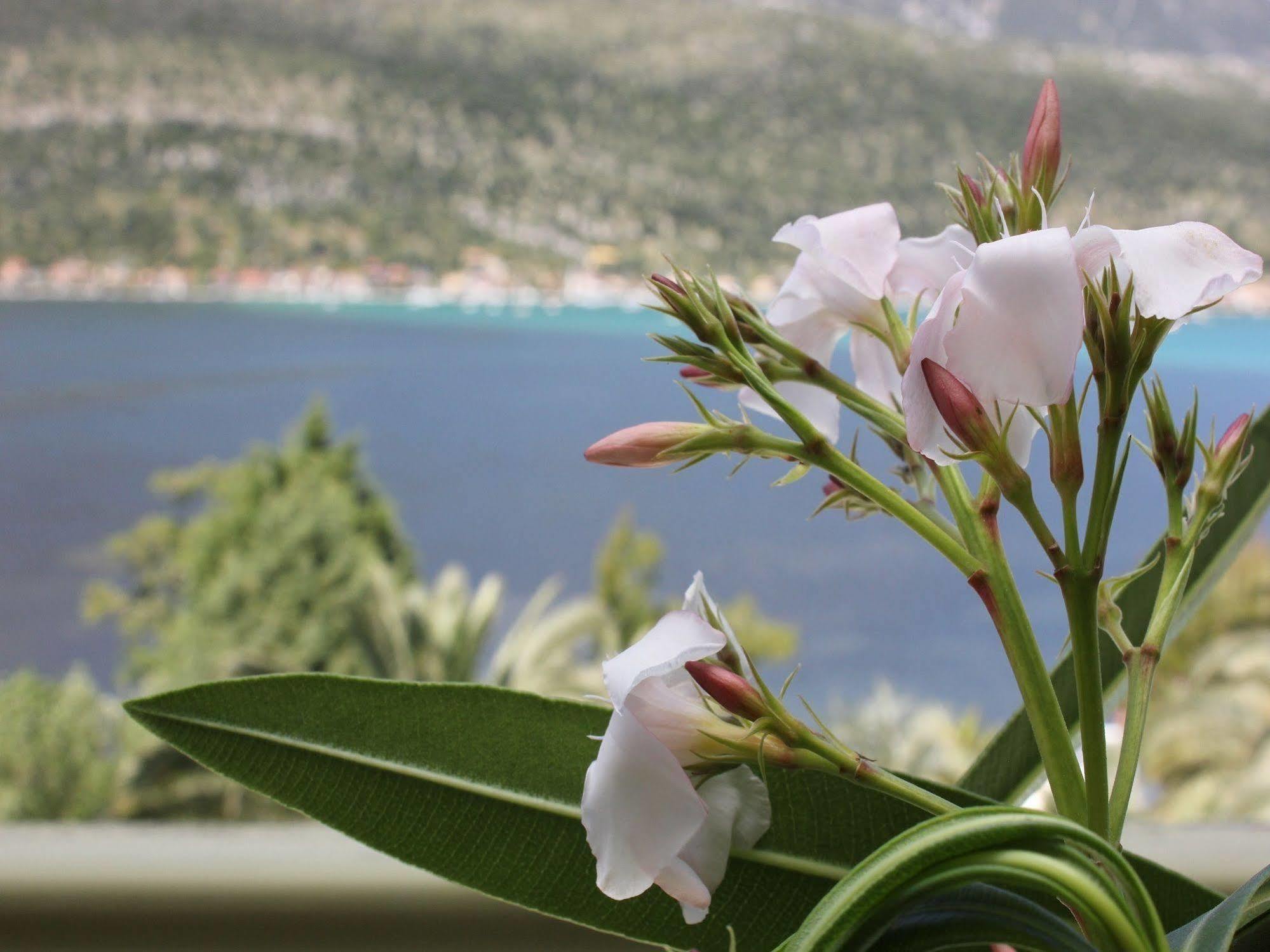 Cleopatra Beach Apart otel Yénion Dış mekan fotoğraf